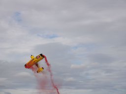 rodenberg2025 56
